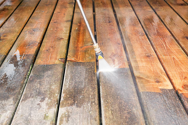 Animal Enclosure Cleaning in Wormleysburg, PA